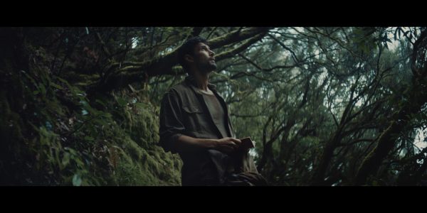 AUDI – “forest”